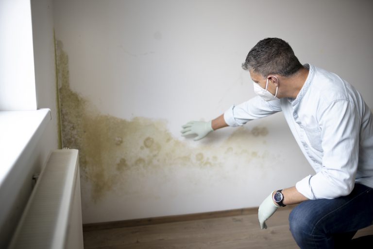 rising damp woking